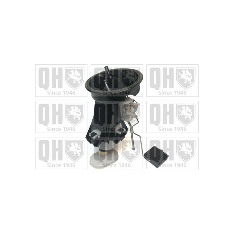Unité d'injection de carburant QUINTON HAZELL QFP744
