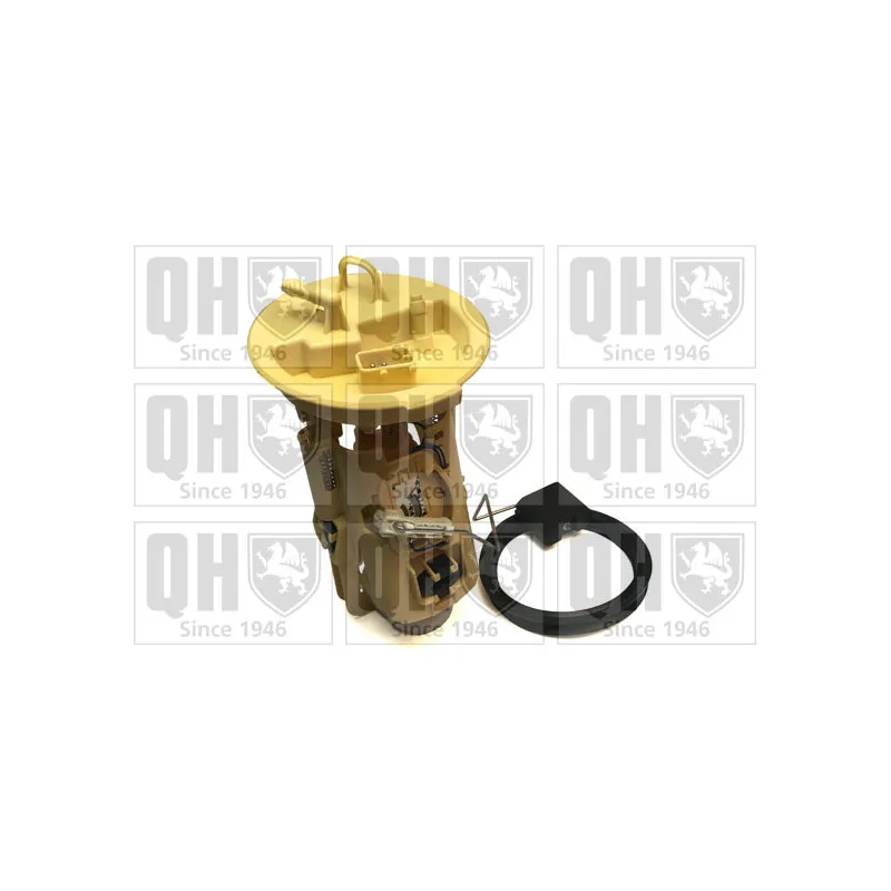 Unité d'injection de carburant QUINTON HAZELL QFP746