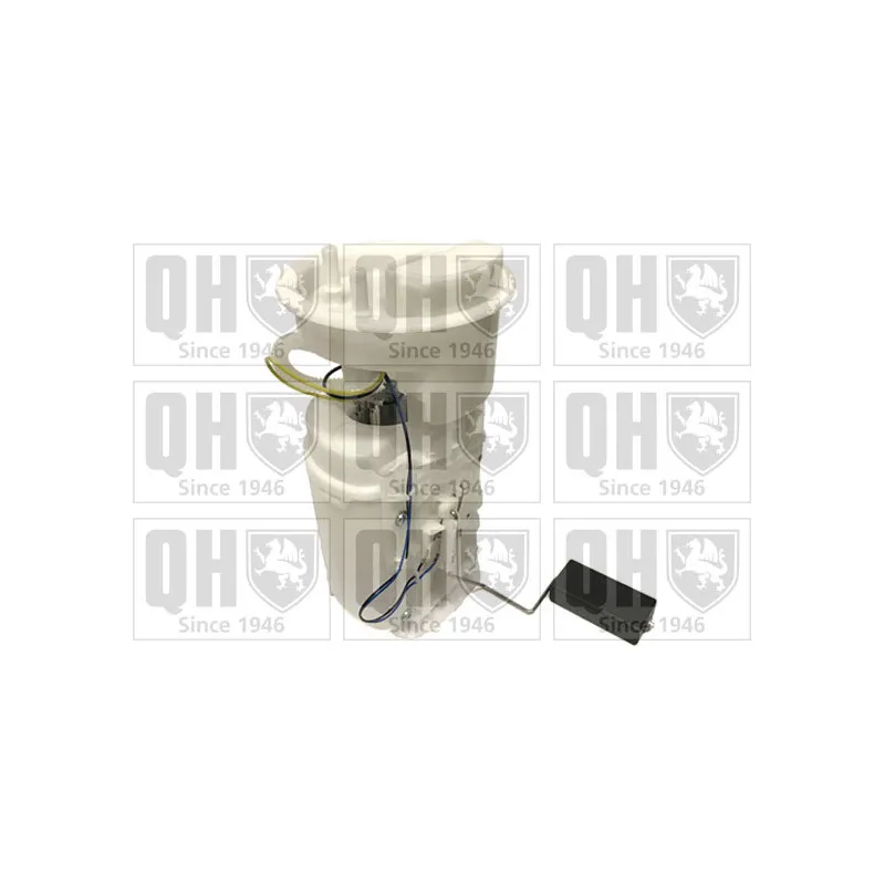 Unité d'injection de carburant QUINTON HAZELL QFP747