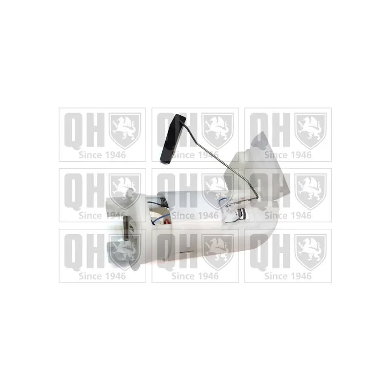 Unité d'injection de carburant QUINTON HAZELL QFP748