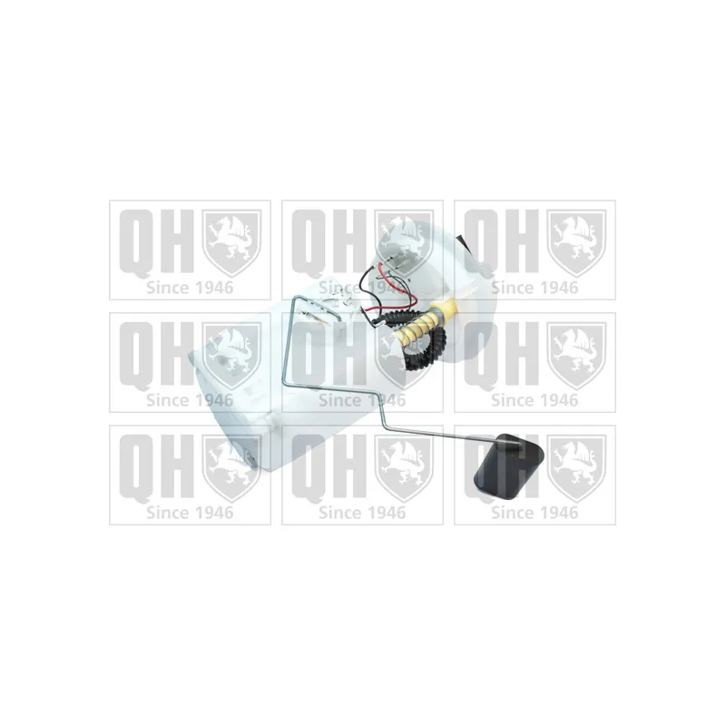 Unité d'injection de carburant QUINTON HAZELL QFP749