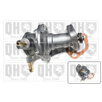 Pompe à carburant QUINTON HAZELL QFP75