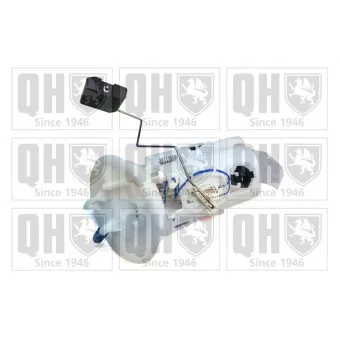 Unité d'injection de carburant QUINTON HAZELL QFP751