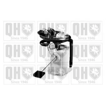 Unité d'injection de carburant QUINTON HAZELL QFP754