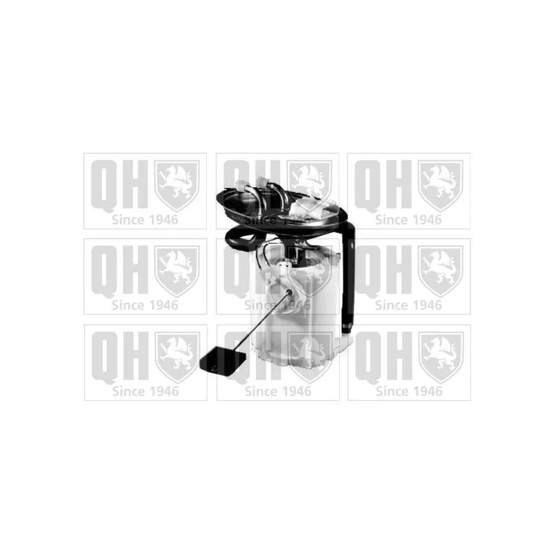 Unité d'injection de carburant QUINTON HAZELL QFP754