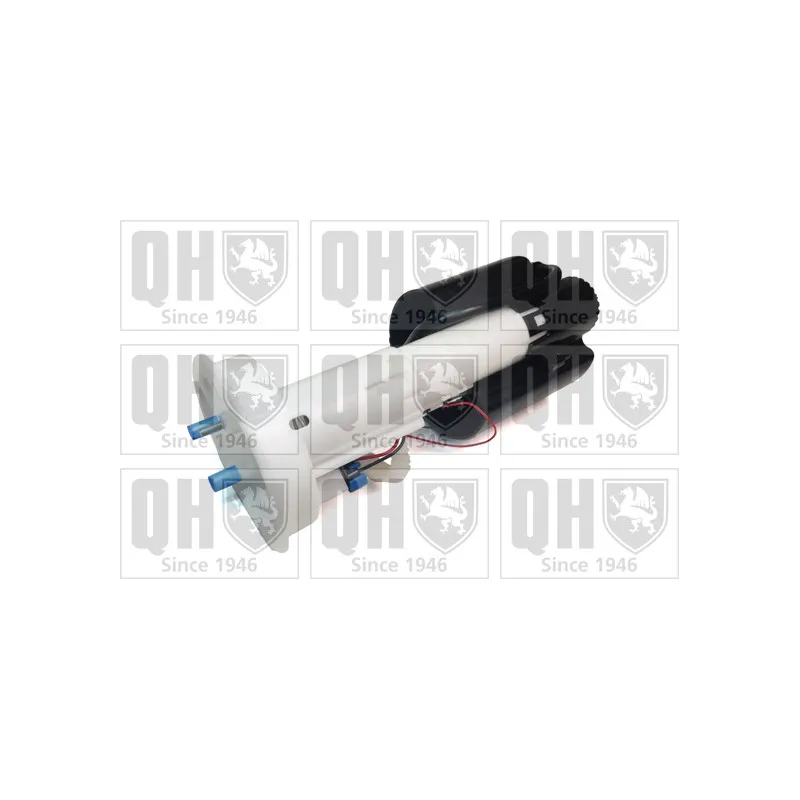 Unité d'injection de carburant QUINTON HAZELL QFP756