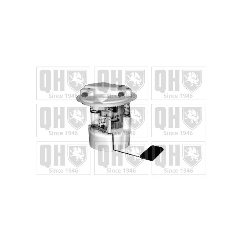 Unité d'injection de carburant QUINTON HAZELL QFP771