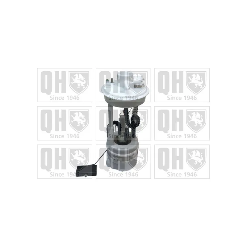 Unité d'injection de carburant QUINTON HAZELL QFP776