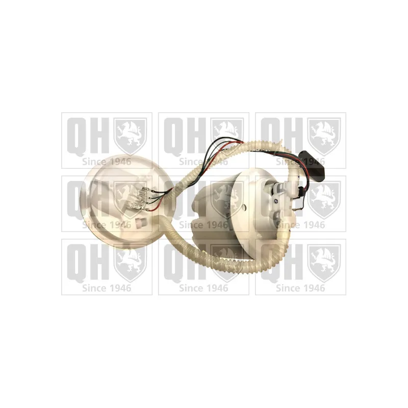 Unité d'injection de carburant QUINTON HAZELL QFP793