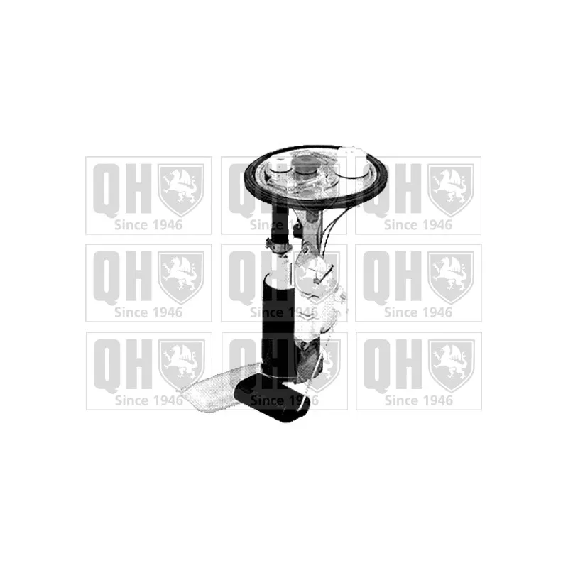 Unité d'injection de carburant QUINTON HAZELL QFP800
