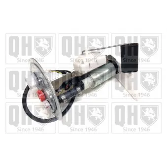 Unité d'injection de carburant QUINTON HAZELL QFP801