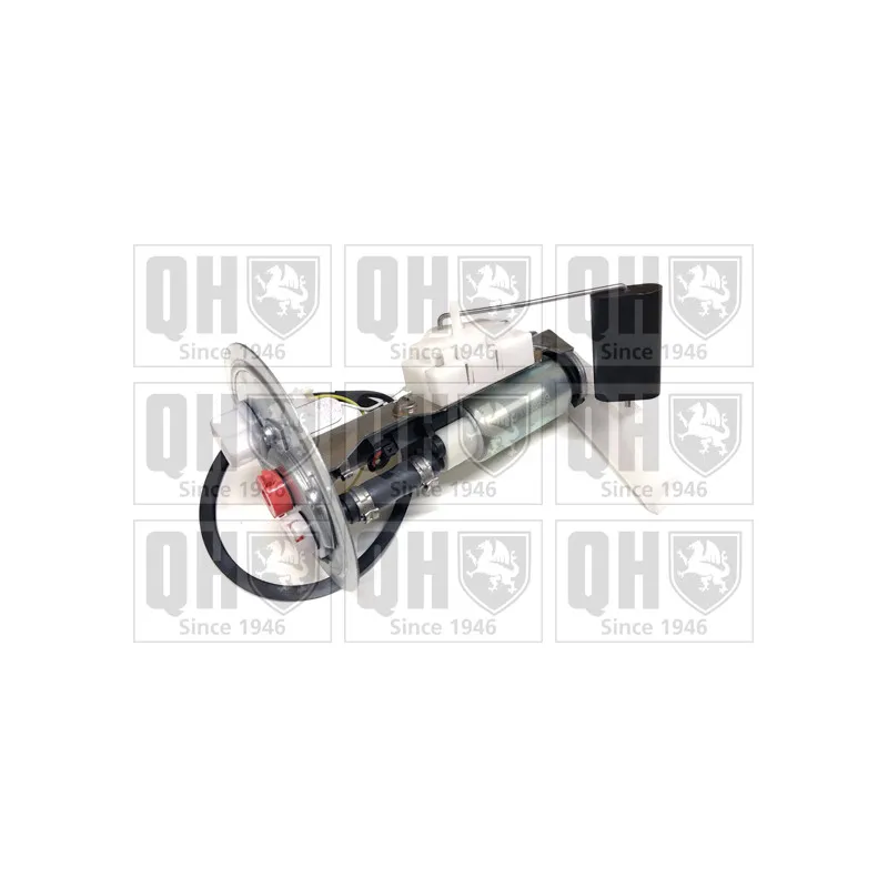 Unité d'injection de carburant QUINTON HAZELL QFP801