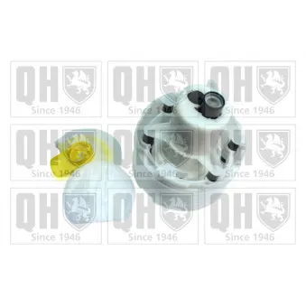 Pot de stabilisation, pompe à carburant QUINTON HAZELL QFP803