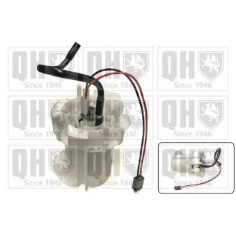 Pot de stabilisation, pompe à carburant QUINTON HAZELL QFP819