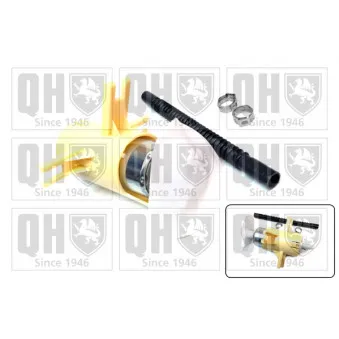 Pompe à carburant QUINTON HAZELL QFP822