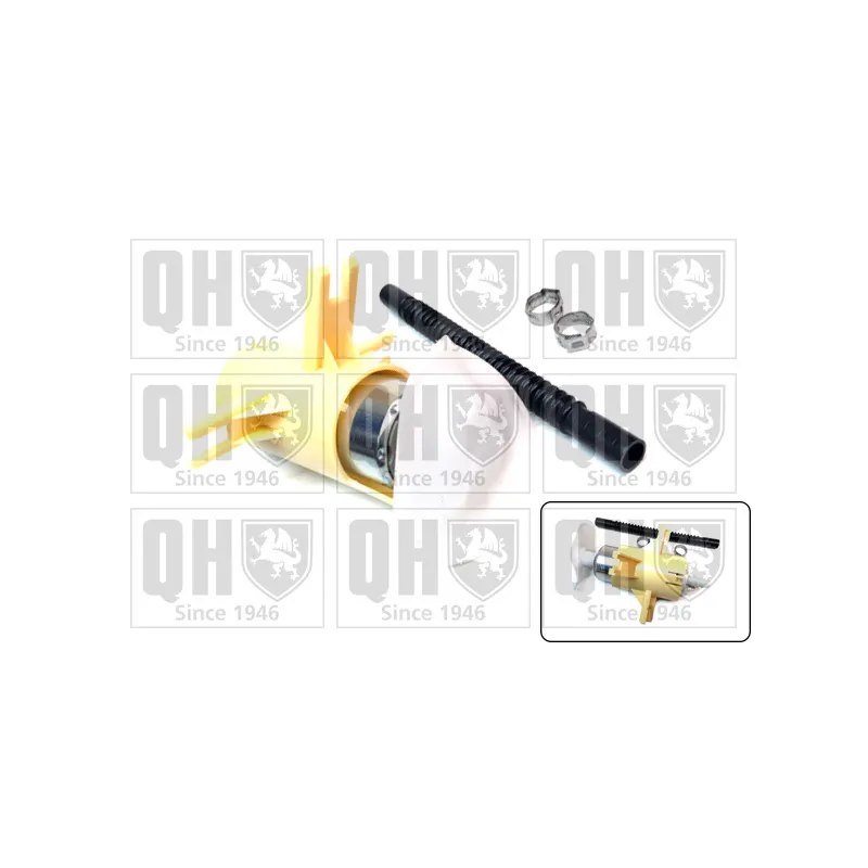 Pompe à carburant QUINTON HAZELL QFP822