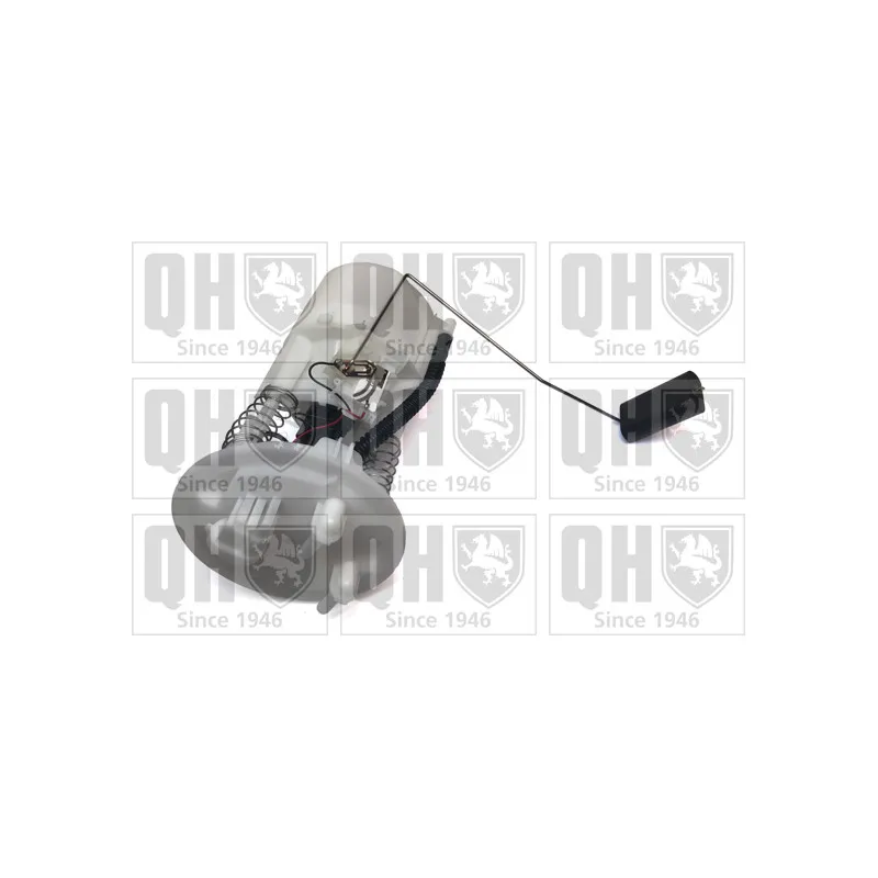 Unité d'injection de carburant QUINTON HAZELL QFP838