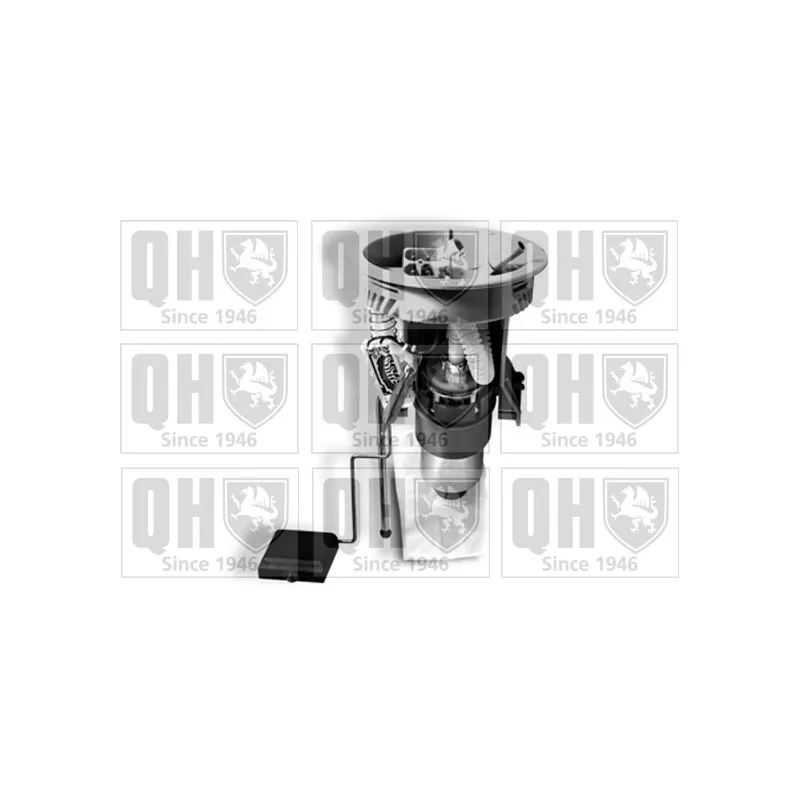 Unité d'injection de carburant QUINTON HAZELL QFP839