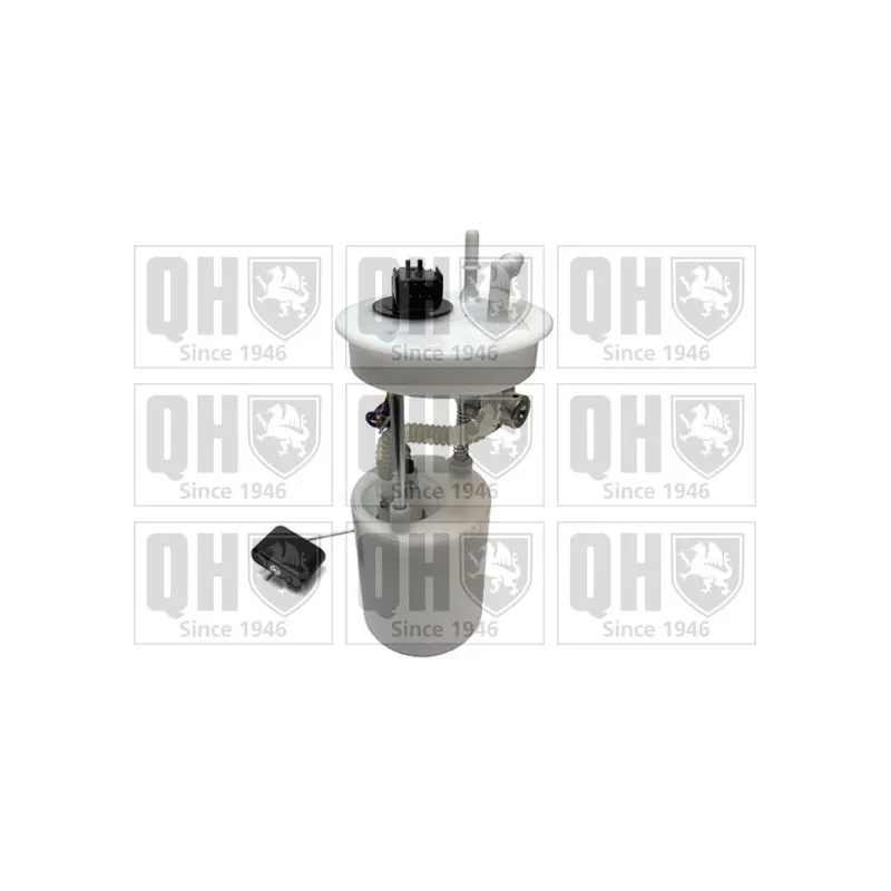 Unité d'injection de carburant QUINTON HAZELL QFP840