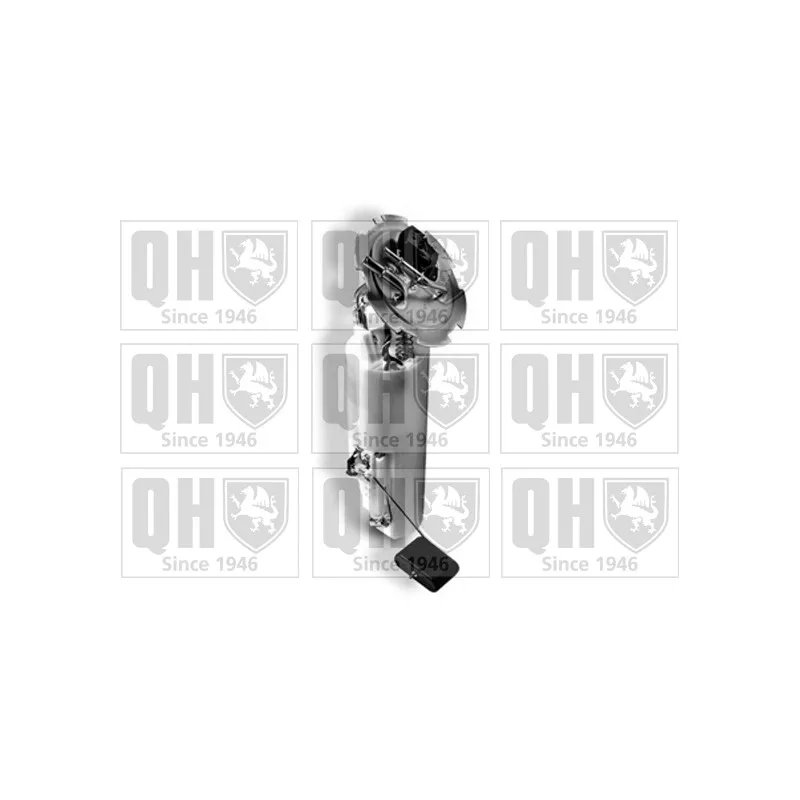 Unité d'injection de carburant QUINTON HAZELL QFP841