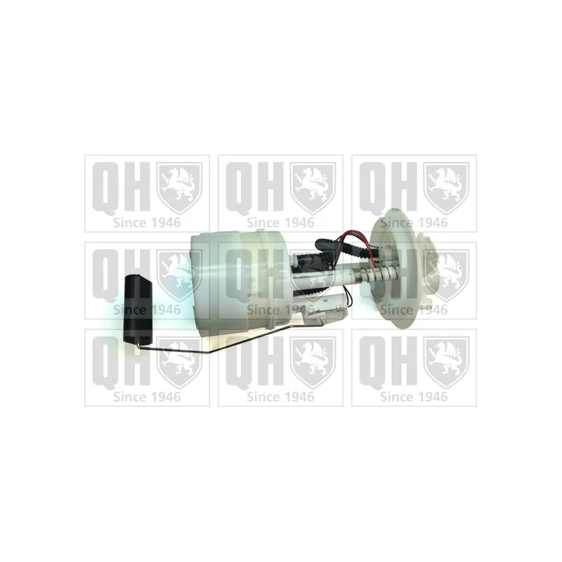 Unité d'injection de carburant QUINTON HAZELL QFP843