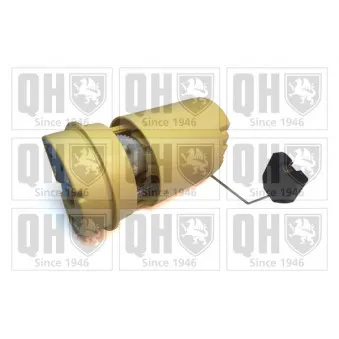 Unité d'injection de carburant QUINTON HAZELL QFP845