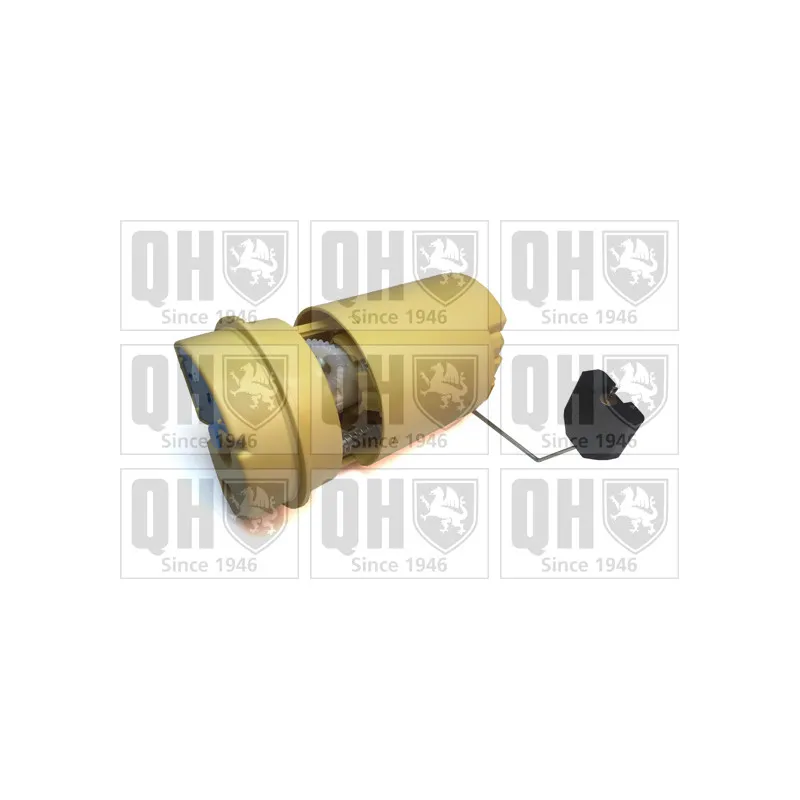 Unité d'injection de carburant QUINTON HAZELL QFP845