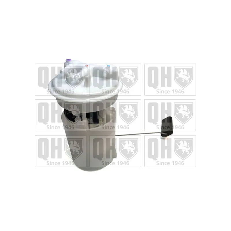Unité d'injection de carburant QUINTON HAZELL QFP847
