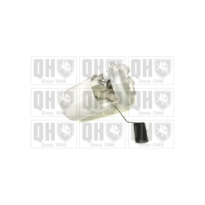 Unité d'injection de carburant QUINTON HAZELL QFP849