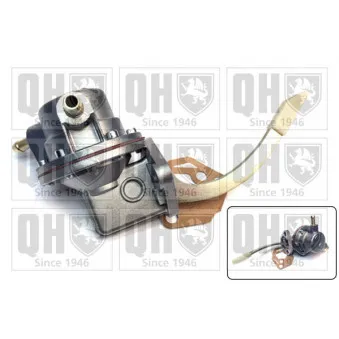 Pompe à carburant QUINTON HAZELL QFP85