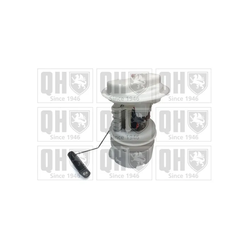 Unité d'injection de carburant QUINTON HAZELL QFP850