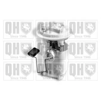 Unité d'injection de carburant QUINTON HAZELL QFP851