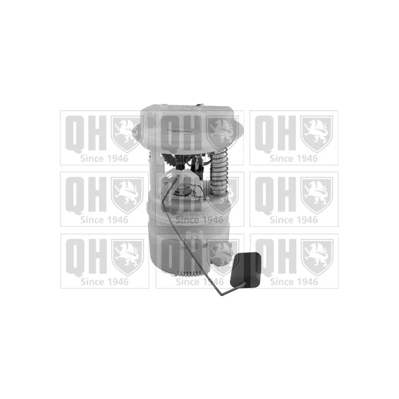 Unité d'injection de carburant QUINTON HAZELL QFP853