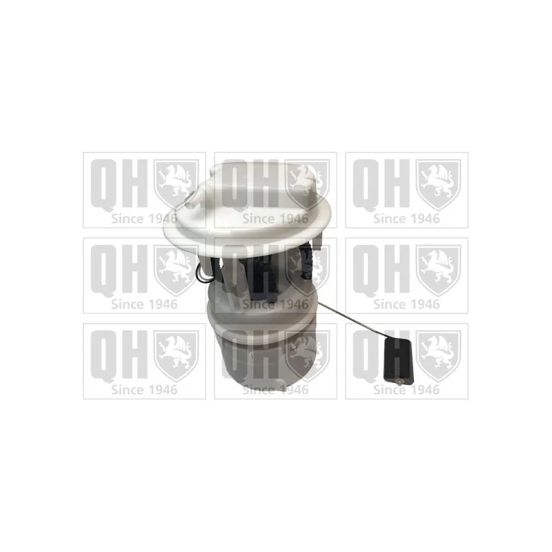 Unité d'injection de carburant QUINTON HAZELL QFP854