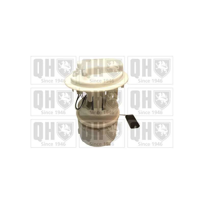 Unité d'injection de carburant QUINTON HAZELL QFP855