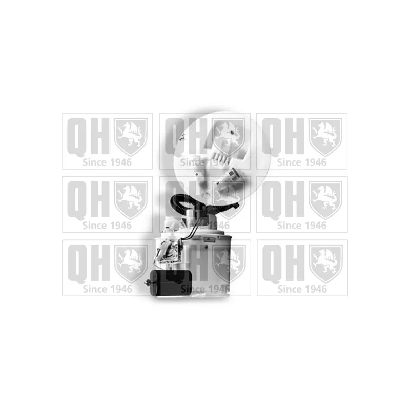 Unité d'injection de carburant QUINTON HAZELL QFP860