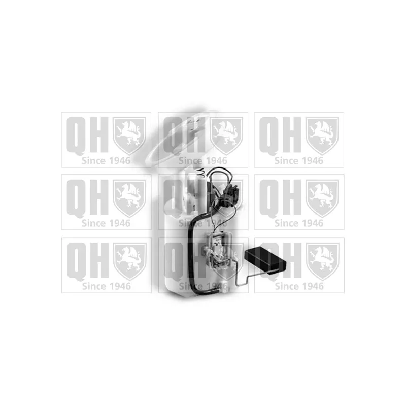 Unité d'injection de carburant QUINTON HAZELL QFP865