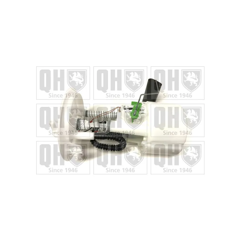 Unité d'injection de carburant QUINTON HAZELL QFP866