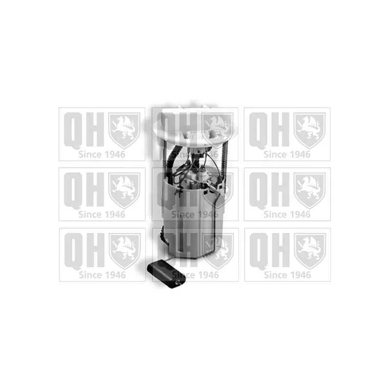 Unité d'injection de carburant QUINTON HAZELL QFP868
