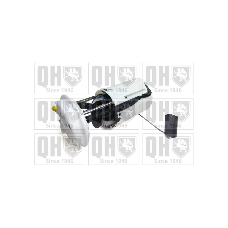 Unité d'injection de carburant QUINTON HAZELL QFP876