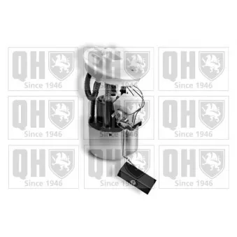 Unité d'injection de carburant QUINTON HAZELL QFP883