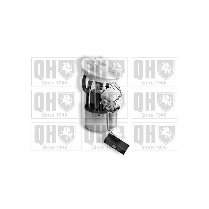 Unité d'injection de carburant QUINTON HAZELL QFP883