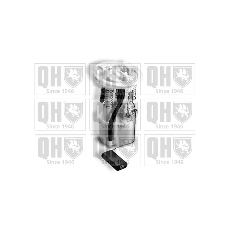Unité d'injection de carburant QUINTON HAZELL QFP884