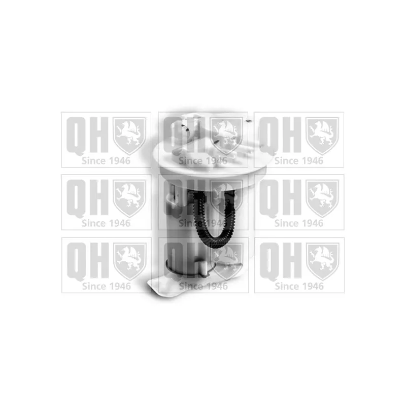 Unité d'injection de carburant QUINTON HAZELL QFP886