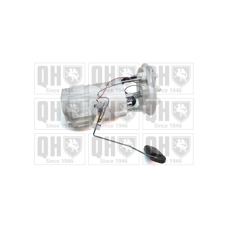 Unité d'injection de carburant QUINTON HAZELL QFP889