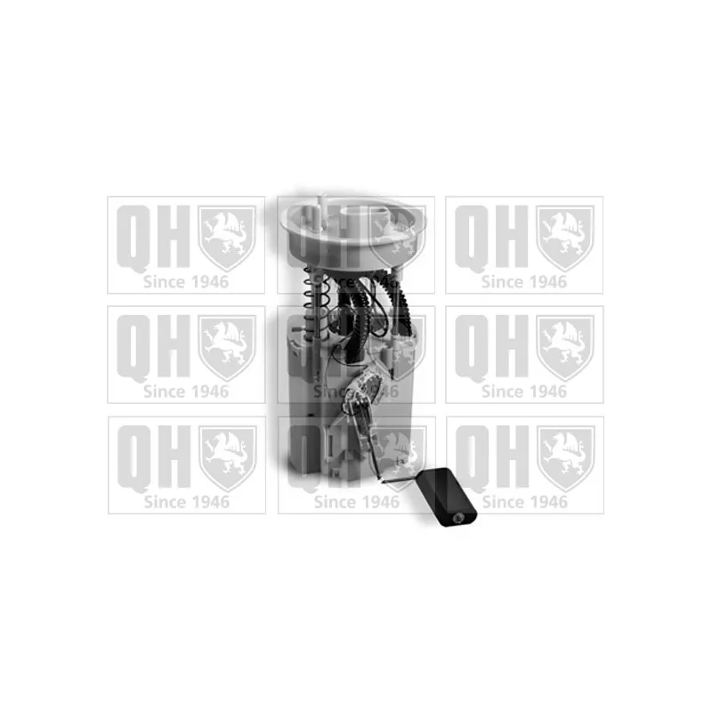 Unité d'injection de carburant QUINTON HAZELL QFP892