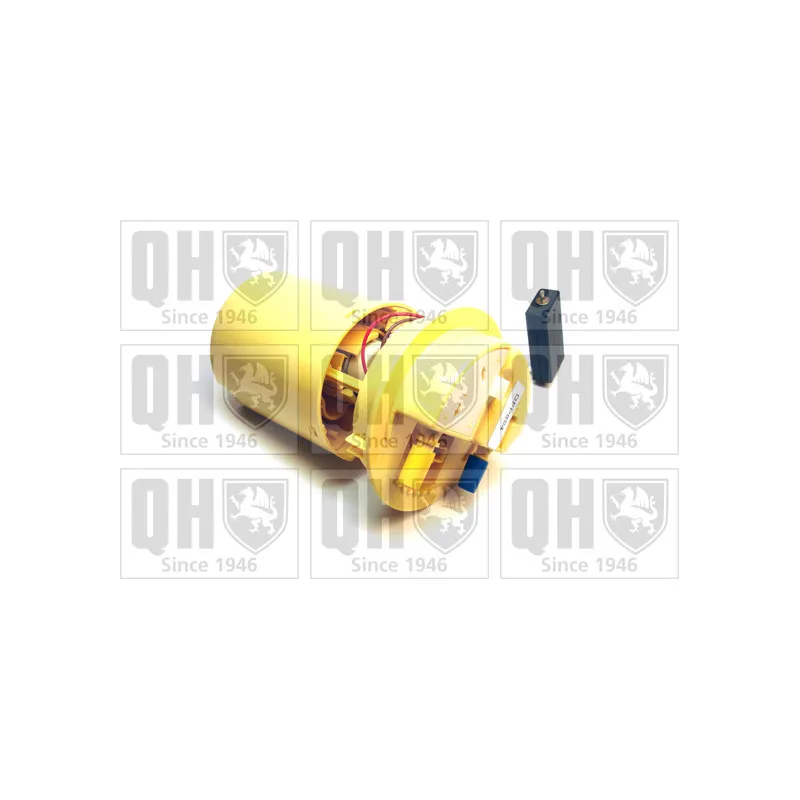 Unité d'injection de carburant QUINTON HAZELL QFP894