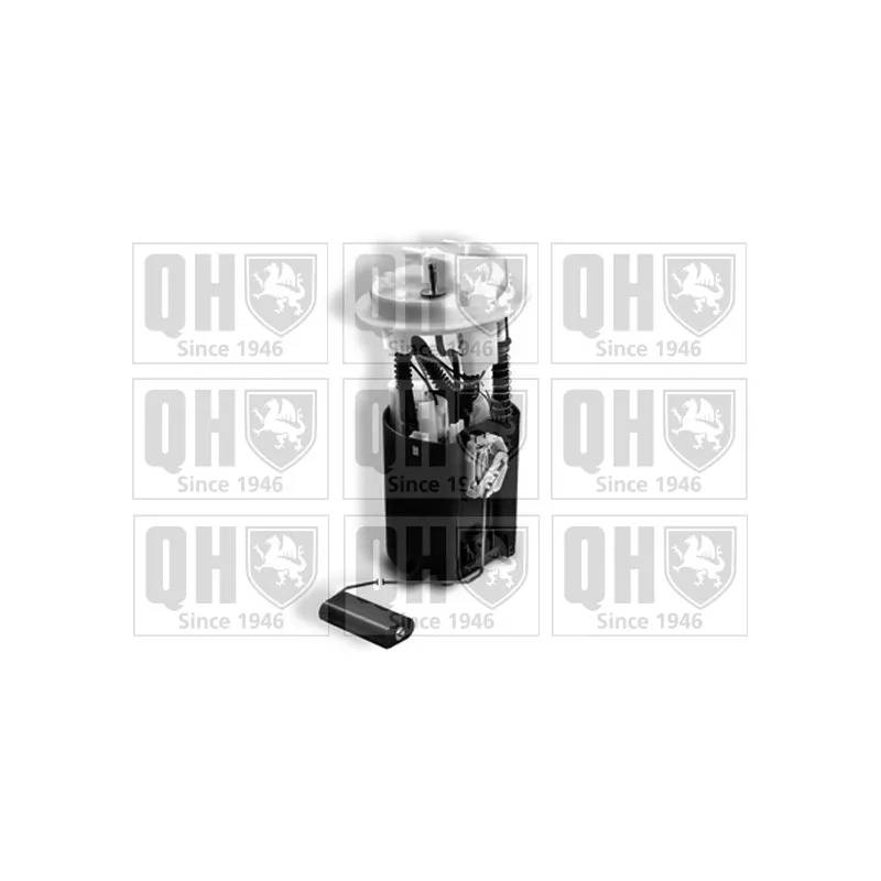 Unité d'injection de carburant QUINTON HAZELL QFP904