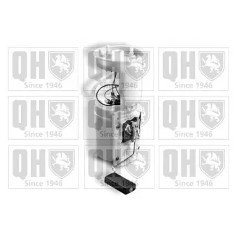 Unité d'injection de carburant QUINTON HAZELL QFP905