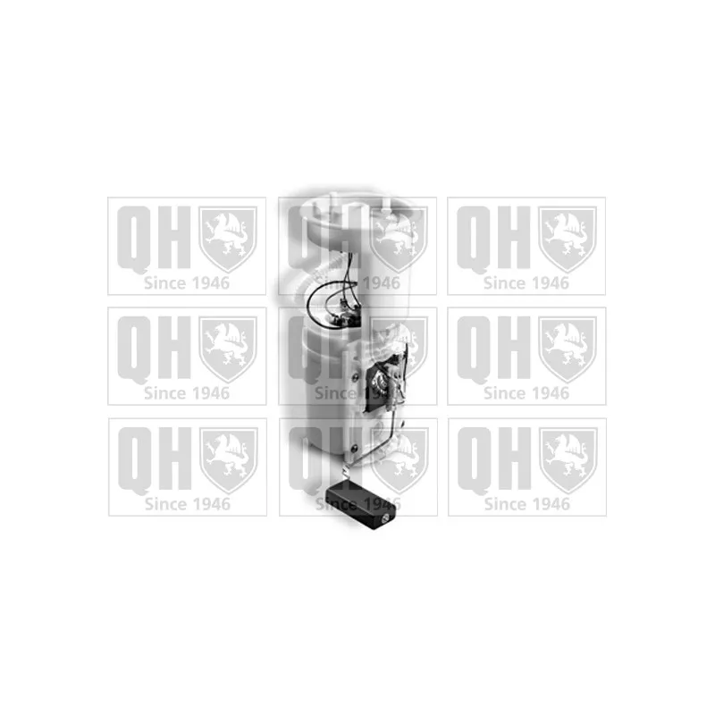 Unité d'injection de carburant QUINTON HAZELL QFP905